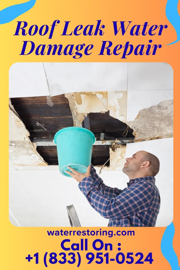 Roof Leak Water Damage Repair in Fort Bragg, CA
